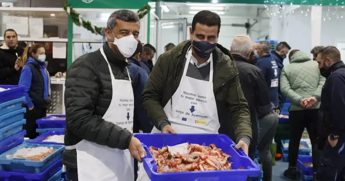 Degustar gratuitamente camarão e polvo na lota de Ayamonte