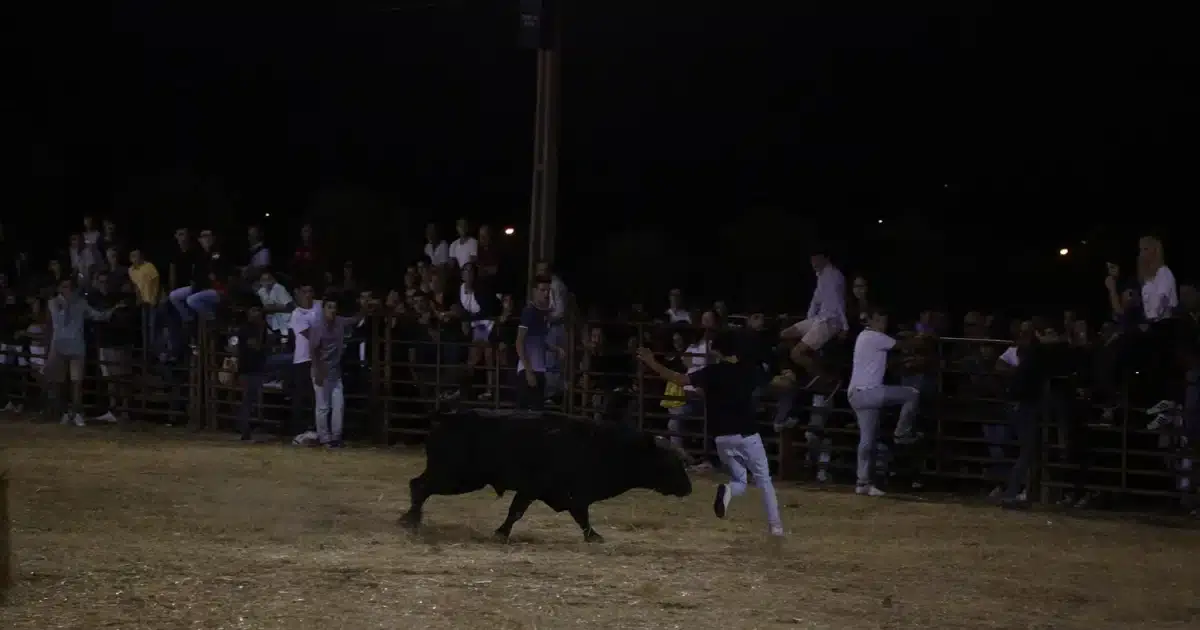 Largadas noturnas durante 28.ª ExpoReg