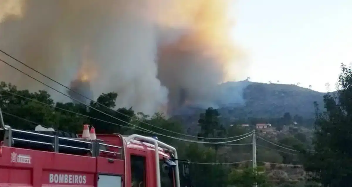 Terceira onda e «Estado de Alerta» pelo calor