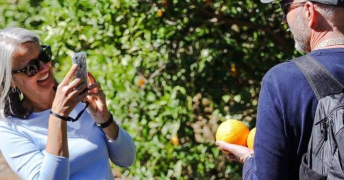 RTA divulga iniciativas para Setembro