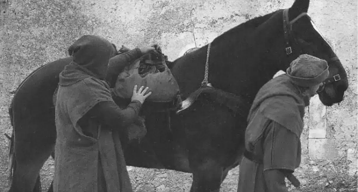 Os almocreves e as vias de comunicação no Algarve