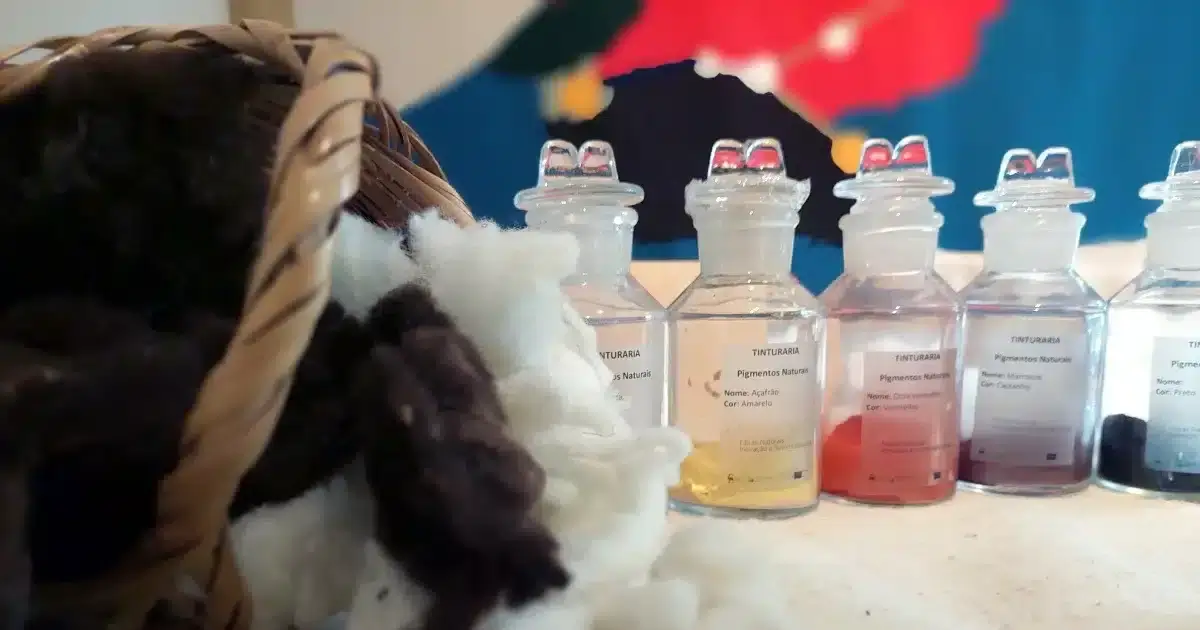 ADPM participa na tinturaria tradicional