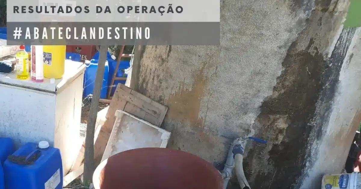 Abate clandestino em Elvas