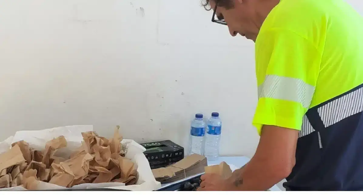 Feirinha da castanha amanhã em Altura