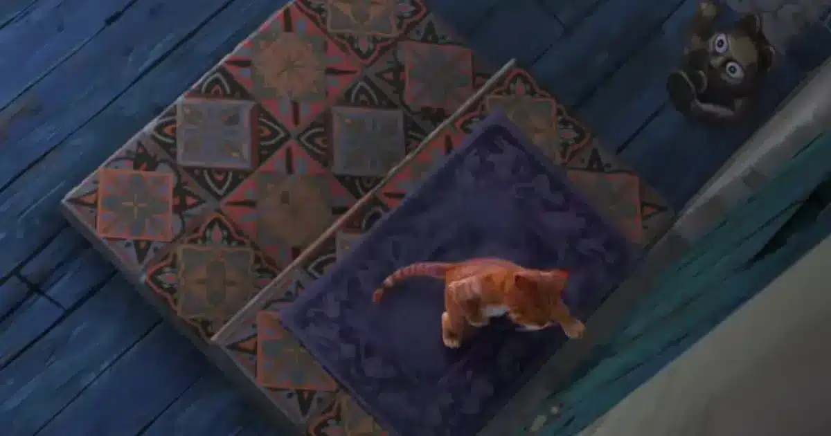 Jovens vão ao cinema em Tavira