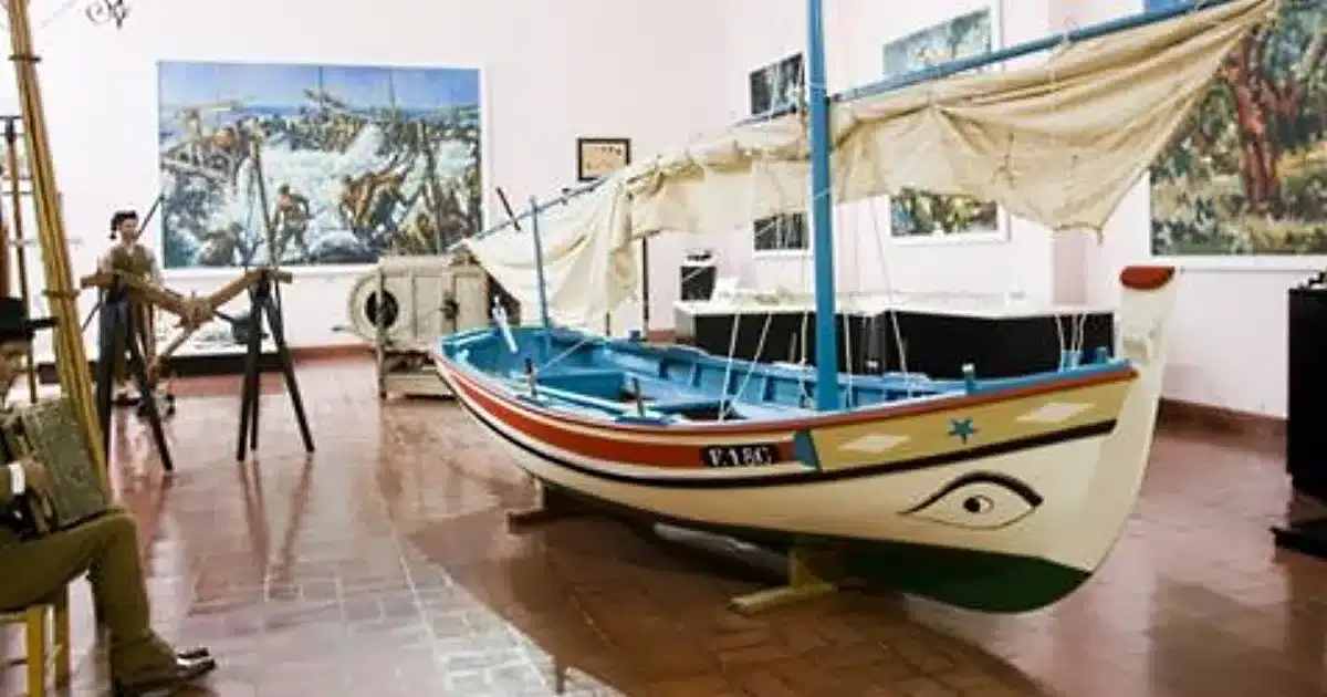 Sessenta anos de Museu do Algarve