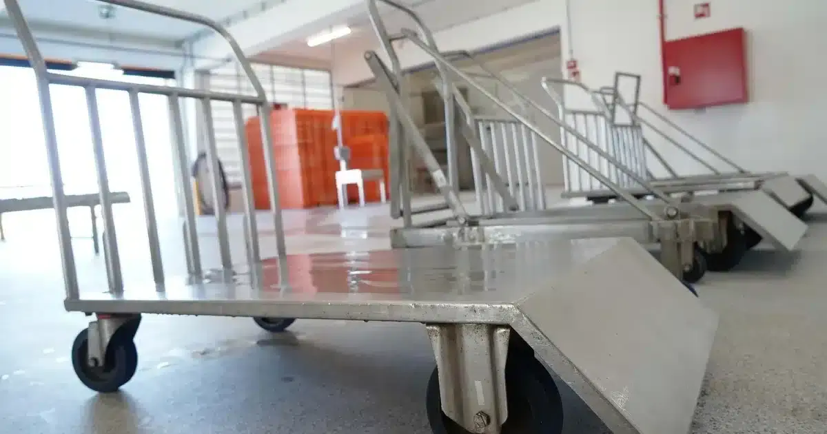 Lota da Fuzeta integra rede de lotas nacional