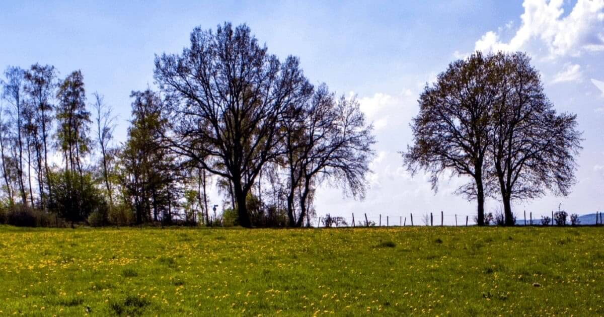 Foi alterado o regime de cadastro predial