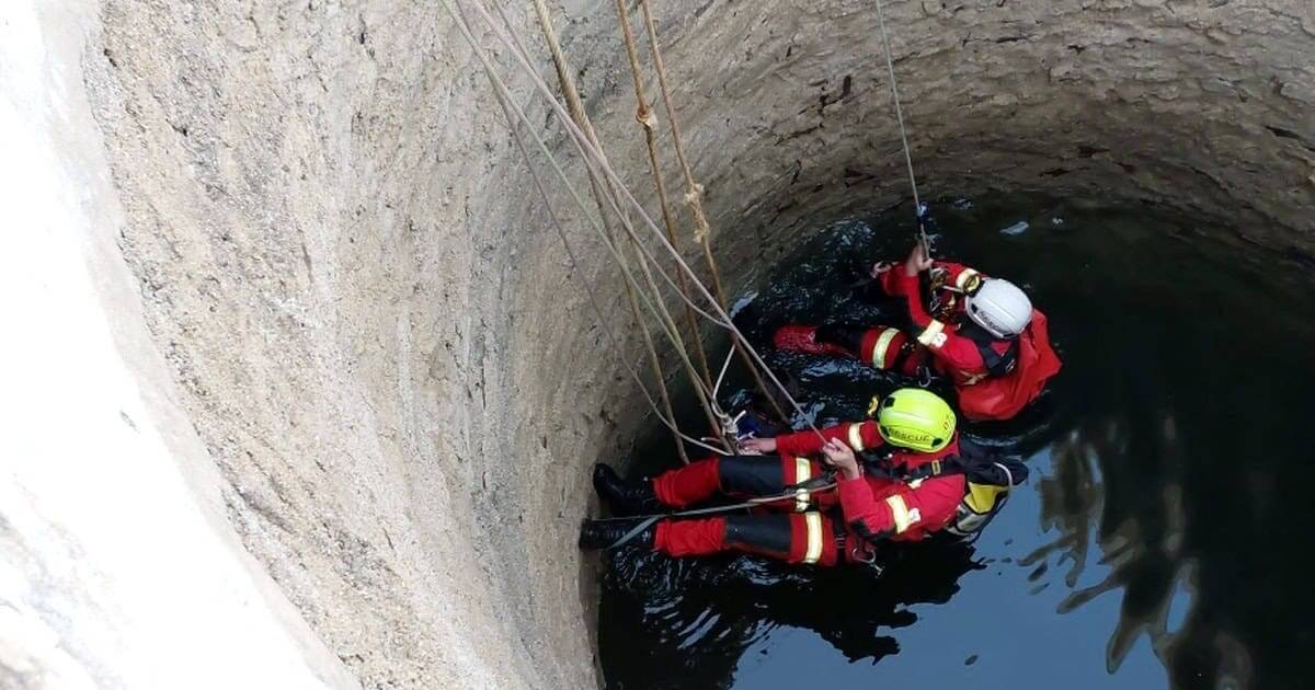 Bombeiros salvam cão caído num poço