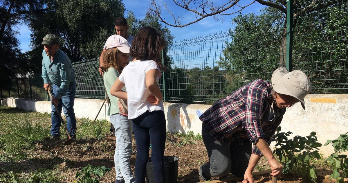 Aprender a horticultura da semente ao fruto