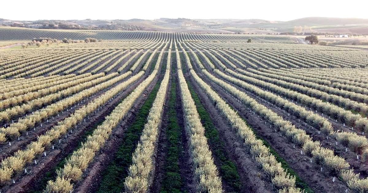 Em Beja debate-se a degradação dos recursos naturais