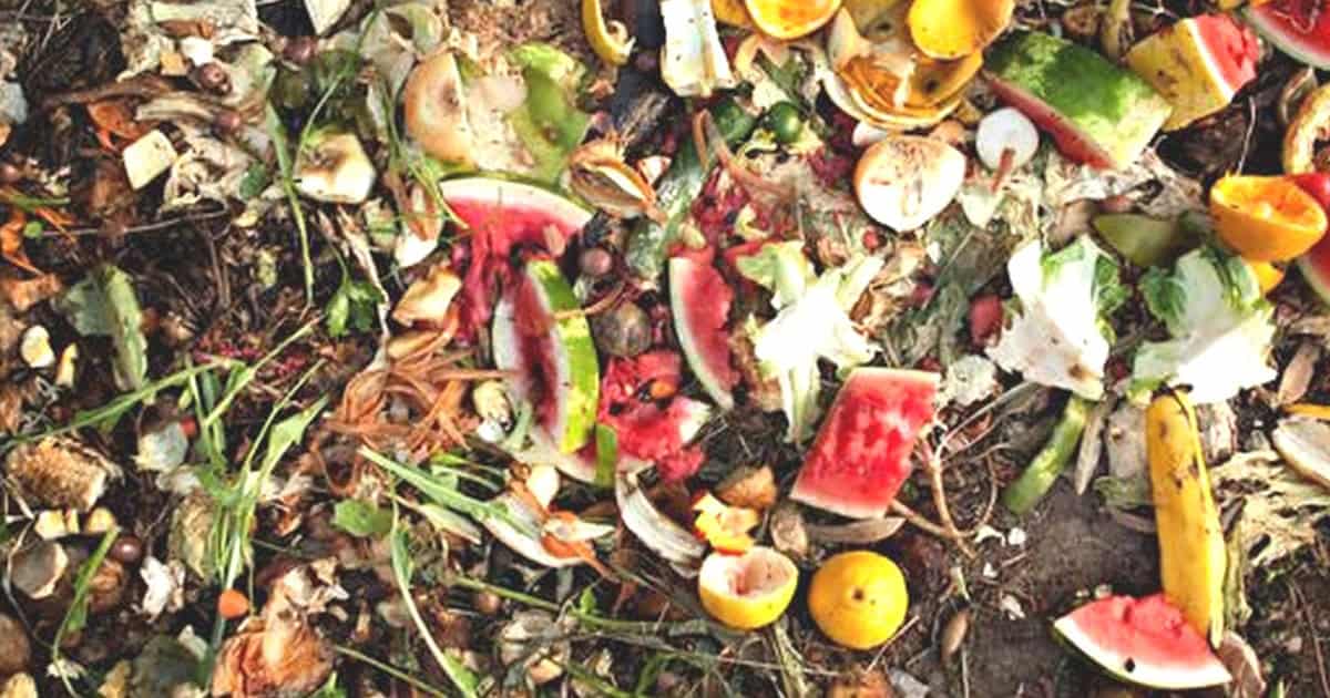 Vila Viçosa em desacordo no RecolhaBio