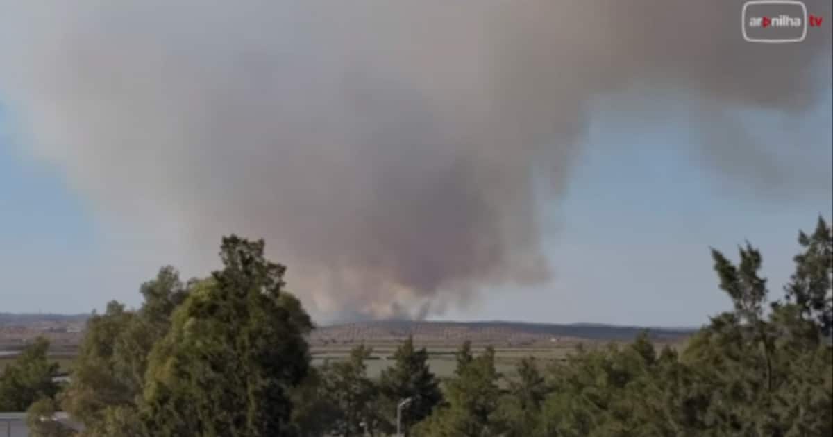 Incêndio florestal em Almada de Ouro