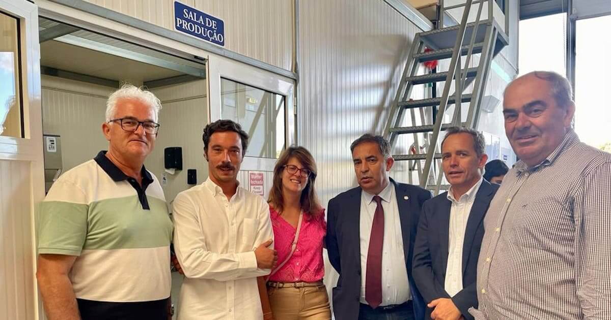 Carob World desenvolve bebida baseada na alfarroba