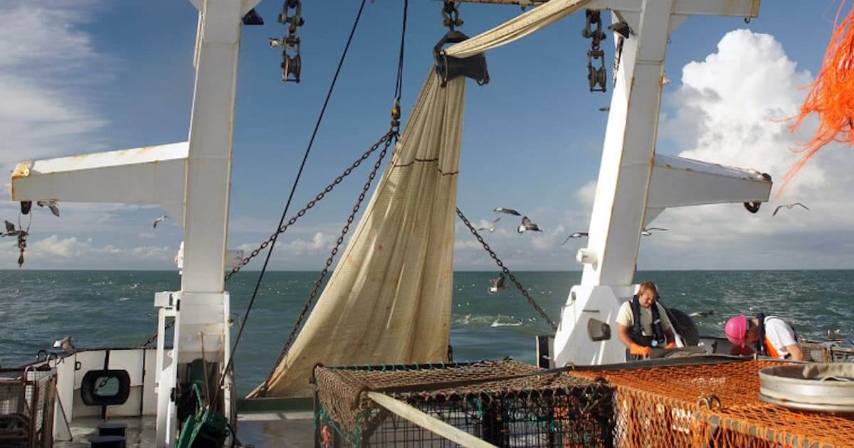 Mais vigilância europeia sobre as capturas de pescado