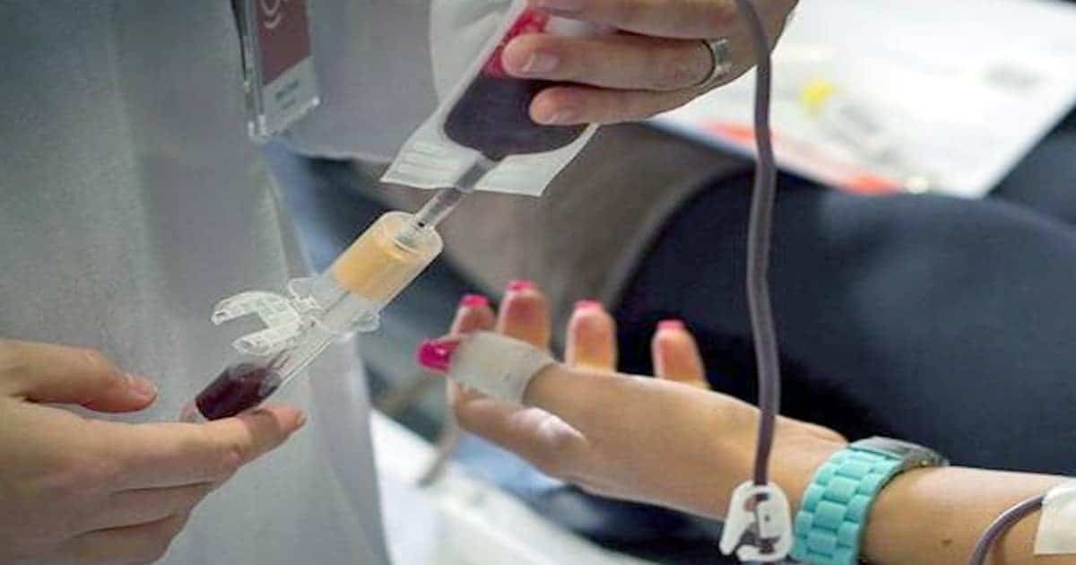 Dadores benévolos de sangue apelam à participação dos portugueses