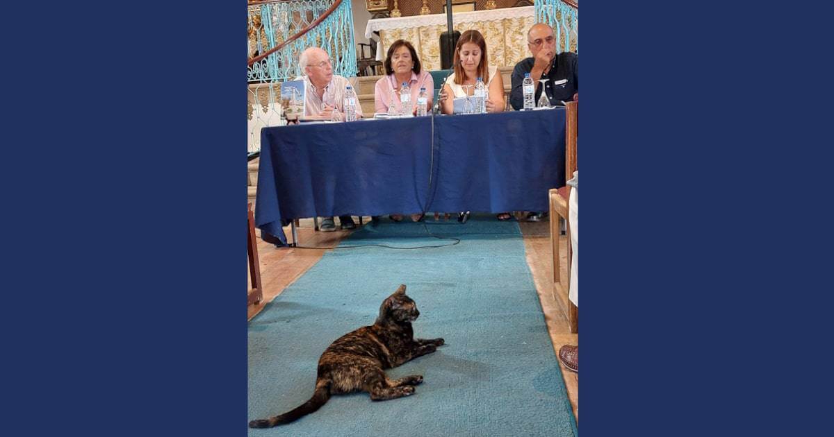 Um tavirense que nunca existiu conta as suas memórias