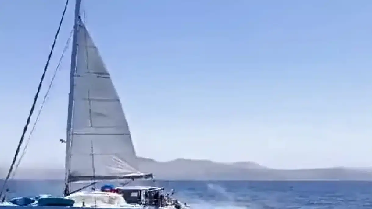 Disparam sobre orcas