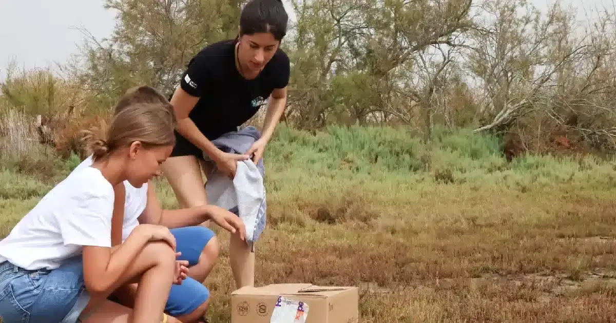 Família francesa participa na recuperação de ave em Olhão