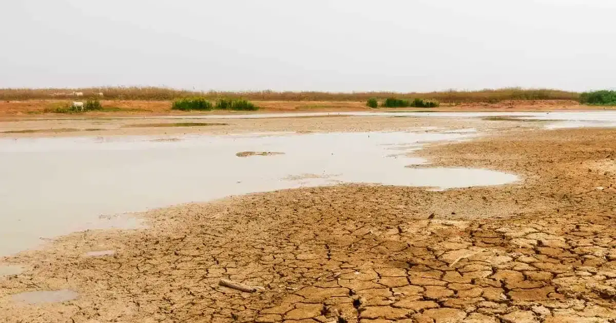 A água e a produção do Algarve em debate na Festa do Avante