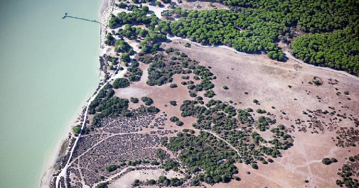 Parque Natural de Doñana em grave risco ambiental