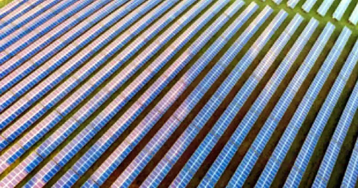 Fundação GALP dá bolsas de estudo a alunos de Alcoutim