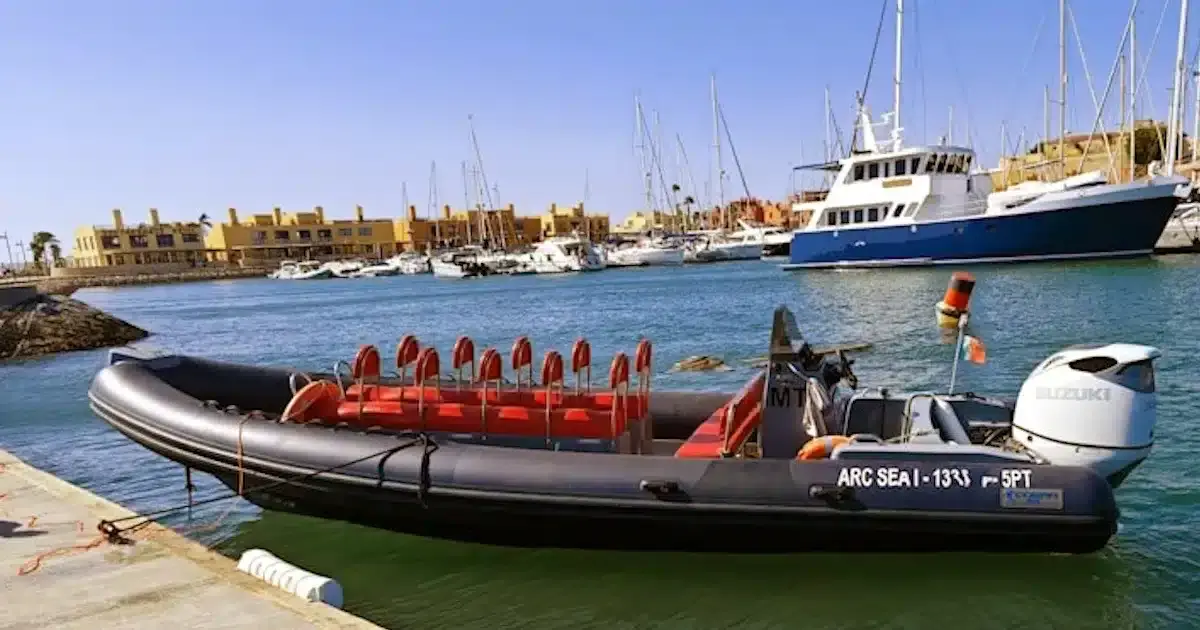 Morte insólita na atracagem de embarcação turística em Portimão