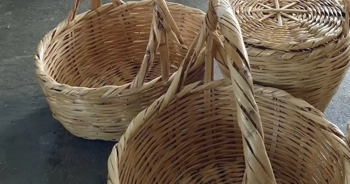 Odiana e município de Alcoutim retomam cestaria e tecelagem