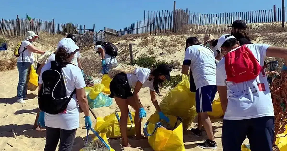 Recolher plástico nas areias da Praia do Forte Novo