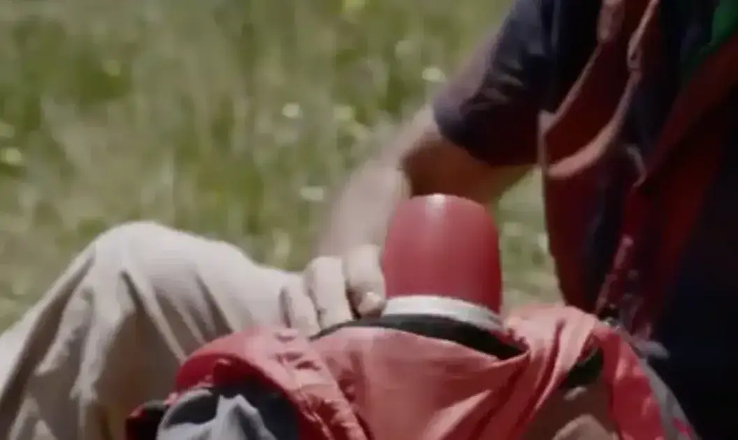 Mesquita – Turismo de Aldeia