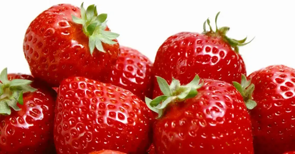 Morango de Huelva candidato a certificação comunitária