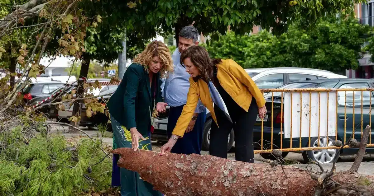 Huelva contrata para reparar danos da tempestade Bernard