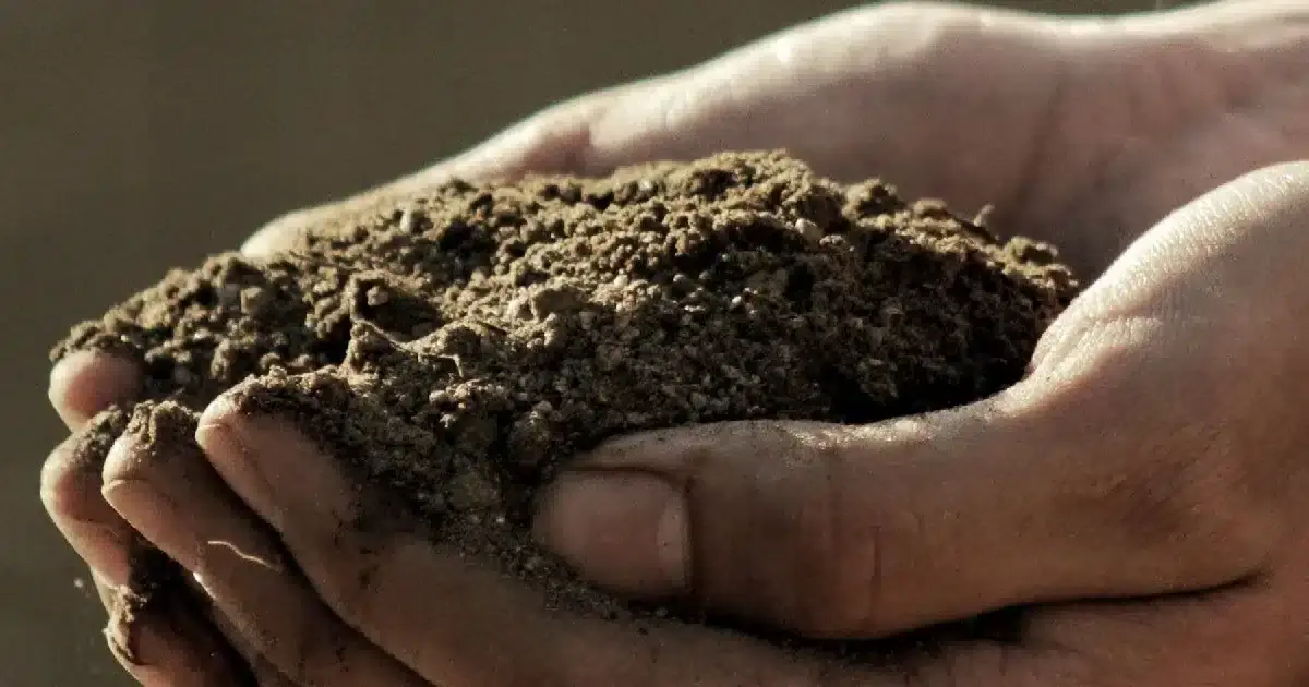 Prospecção Mineira em debate pelas freguesias de Mértola