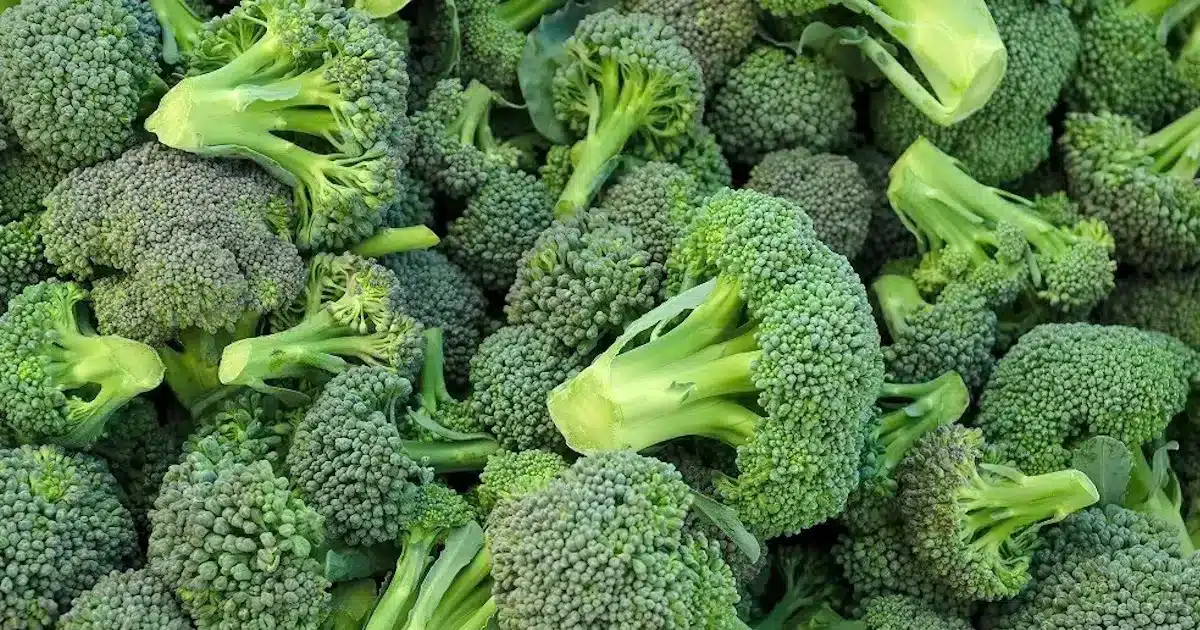 Cabaz do IVA 0 sobe de custo