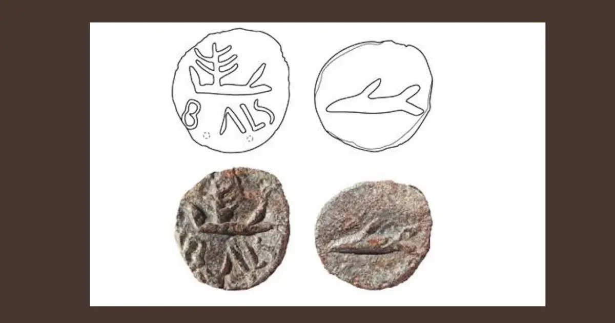 Moeda de Balsa é peça do mês no Museu de Tavira