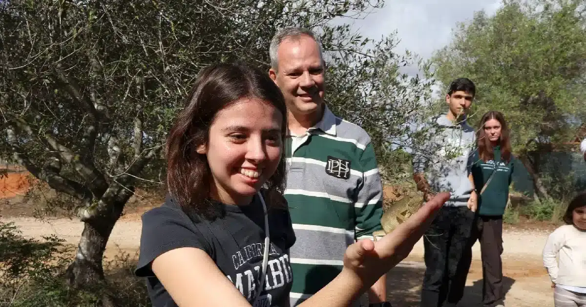 RIAS prossegue o trabalho de recuperação de animais selvagens em Olhão