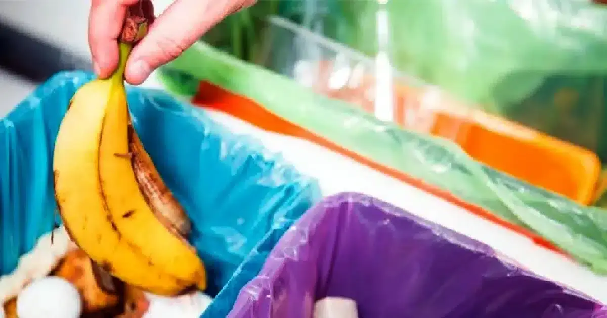 Em Janeiro há mais um saco nos resíduos a separar