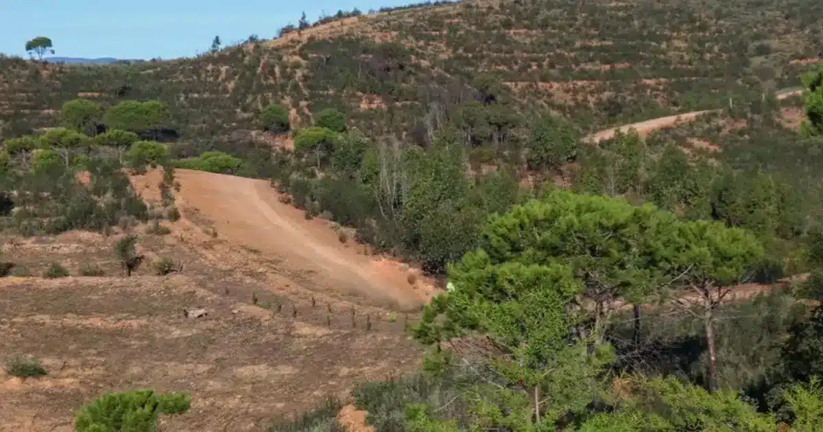 Gestão da paisagem da Nova Serra em Silves