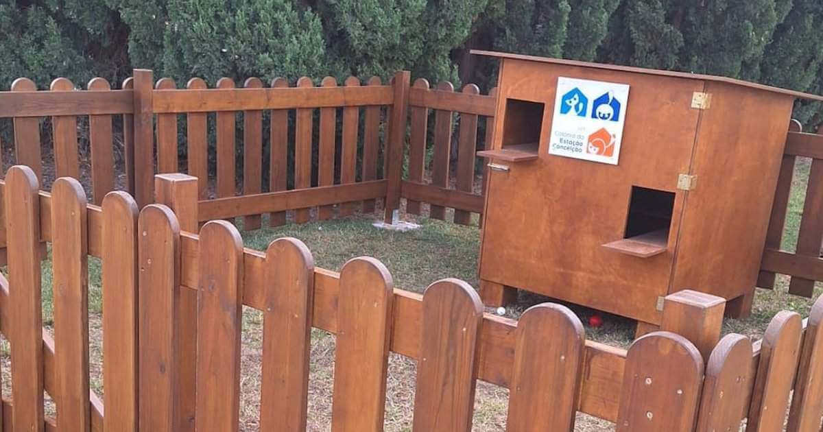 Tavira instala abrigos para colónias de gatos