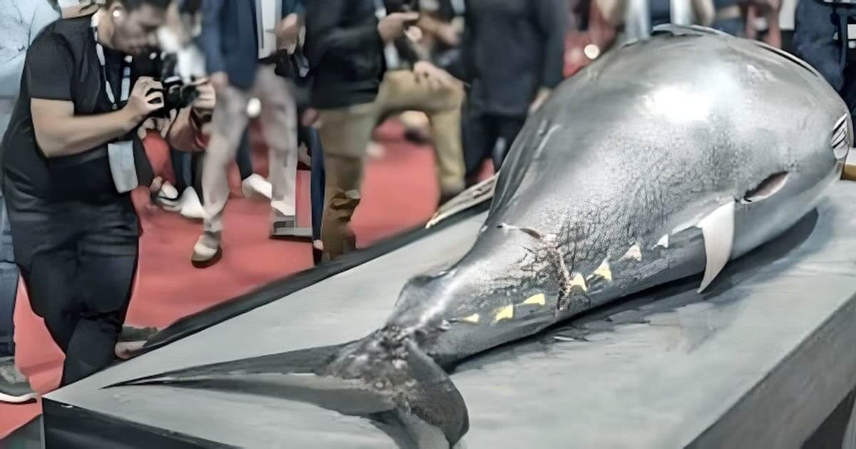 Atum vendido por 719.000 euros