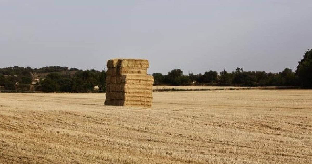 Jornadas do Mundo Rural ocorrem em Alcoutim
