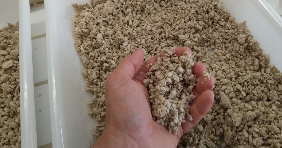 Pré-tratamentos à base de fungos para pasta de papel