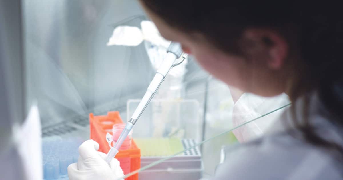 As algas algarvias da BioEconomia Azul