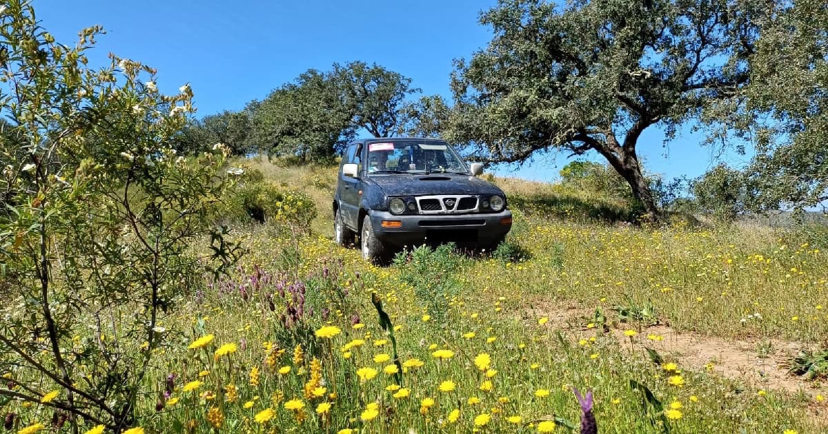 Inter-Vivos volta em Abril com o Passeio Turístico