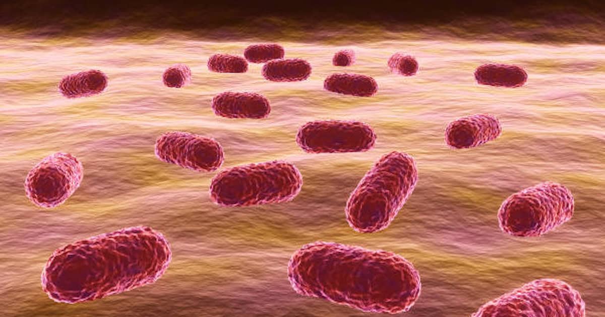 A lista das bactérias assassinas atualizada