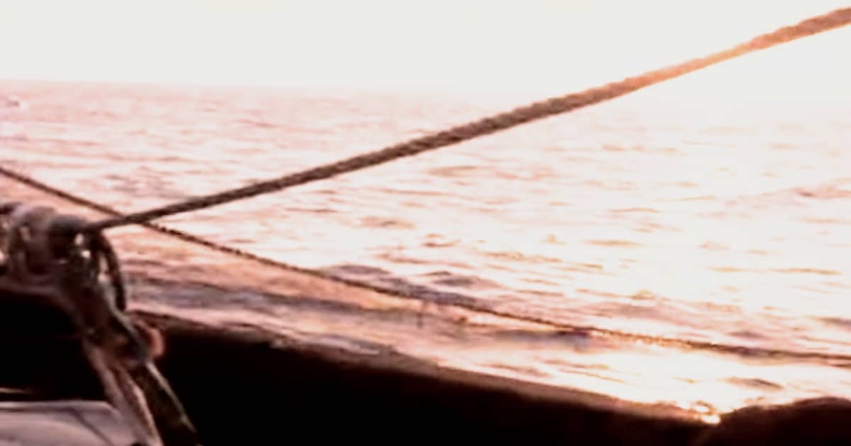 Já se pode pescar sardinha