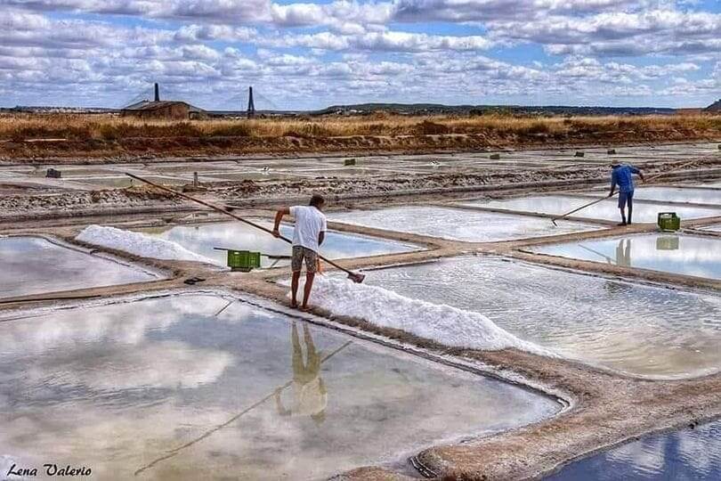 Nova oferta de Flor de Sal