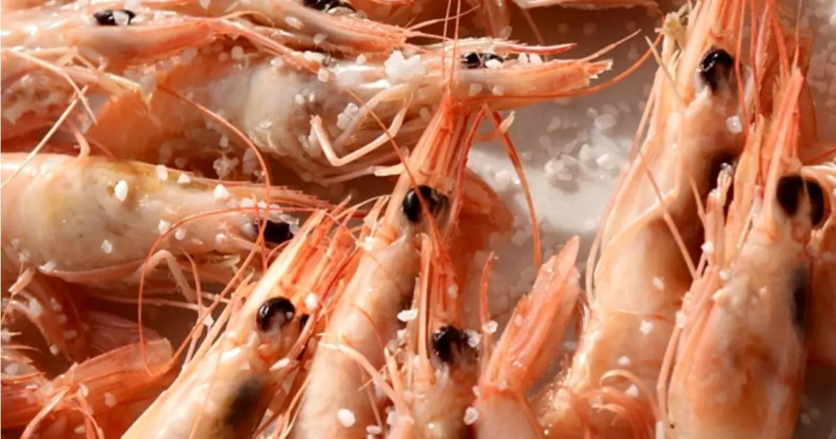 Feira do Marisco em Huelva