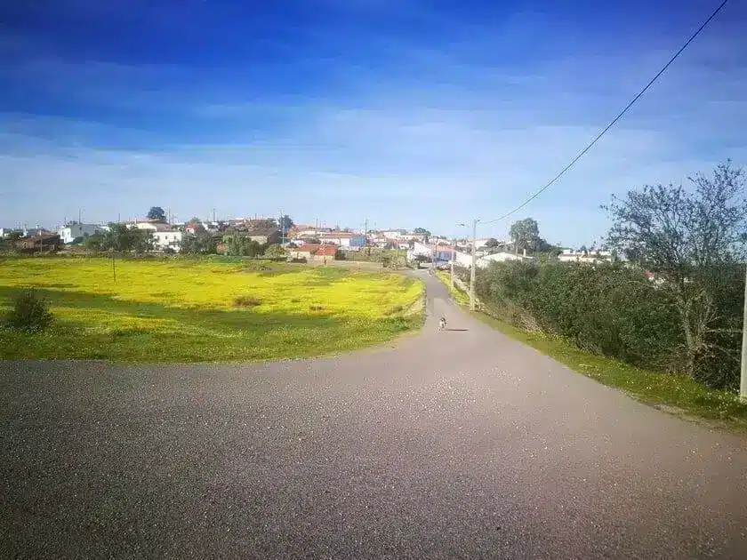 Abastecimento de água em Espírito Santo e Mesquita