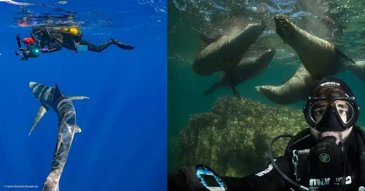 Inovação criada na Universidade do Algarve